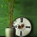 Pianta di bambù accanto a un grande orologio su sfondo verde