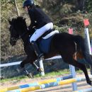 Amazzone con cavallo nero durante il salto di un ostacolo