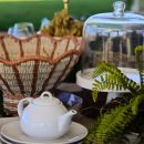 Tavola da tè in giardino con teiera, piatti e coprivivande