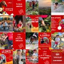 Feed Instagram Team Horse con date del campus, attività nella natura e cavalli