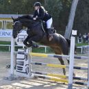 Amazzone del Team Horse mentre supera un ostacolo grigio