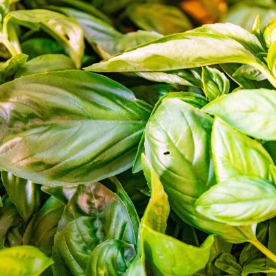 Punto vendita Mamagio a Mosciano Sant'Angelo con prodotti naturali coltivati a km zero