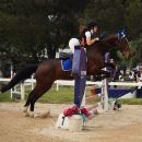 Amazzone con cavallo baio nel salto di un ostacolo decorato con fiori