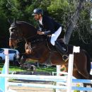 Amazzone con cavallo baio durante un salto a ostacoli