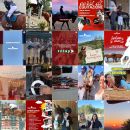 Feed Instagram Team Horse con lezioni, eventi e attività del campus estivo