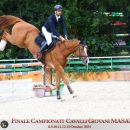 Cavallo baio e amazzone durante la finale del campionato giovani cavalli