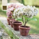 Ortensie rosa e azzurre in piccoli vasi di terracotta
