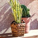 Sansevieria in un cesto di vimini accanto a una pianta in vaso rosa