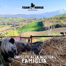 Grafica del Maneggio Team Horse di Teramo con invito a unirsi alla squadra