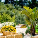 Esterni La Posta del Guardiano Country House a Vieste nel Gargano