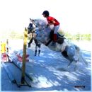 Amazzone con cavallo bianco durante il salto di un ostacolo azzurro