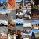 Feed Instagram Team Horse con passeggiate, paesaggi e momenti di vita in scuderia