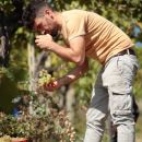 Ragazzo raccoglie uva in vigna Tenuta Trium Notaresco Teramo