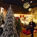 Stand natalizio Bruco con alberi innevati e decorazioni luminose
