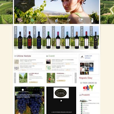 Home Page del sito internet di Cantine Torri di Torano Nuovo