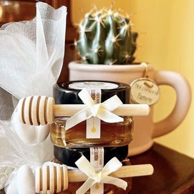 Confezioni miele vicino cactus Bottega Montecchia a Teramo in Abruzzo