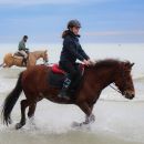 Bambina su un pony baio mentre percorre la riva del mare