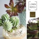 Collage di cactus, succulente e tessuti della collezione Linen Remix