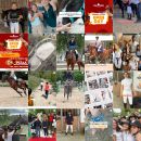 Feed Instagram Team Horse con allievi, gare e foto di gruppo