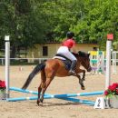 Amazzone con cavallo baio supera un ostacolo basso