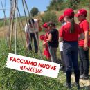 Grafica del campus Team Horse dedicata alle nuove amicizie