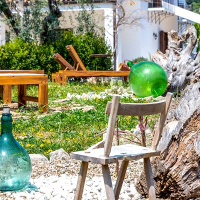 Ulivo con damigiane decorative e sedute nel giardino dello Shanti B&B