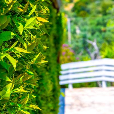 Sentiero tra le siepi nel giardino dello Shanti B&B