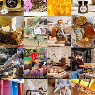 Screenshot feed Instagram Bottega Montecchia Righe 4 07