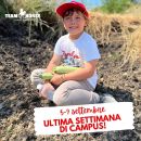 Grafica dell'ultima settimana del campus estivo Team Horse