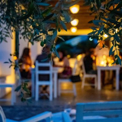 Sala all'aperto dell'home restaurant allestita tra gli ulivi