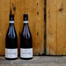 Bottiglie vino Tenuta Trium su portone in legno Notaresco Teramo