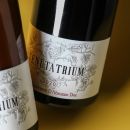 Dettaglio bottiglie vino Tenuta Trium Montepulciano D'Abruzzo DOC 2020