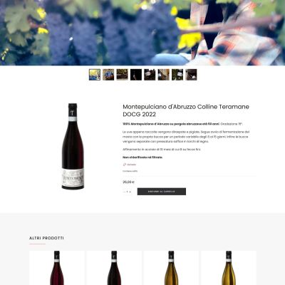 Pagina shop online Montepulciano D'Abruzzo DOCG Colline Teramane Sito Web Tenuta Trium