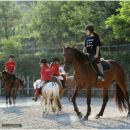 Bambini e adulti durante una lezione con pony al Maneggio Team Horse