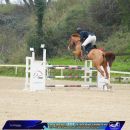 Amazzone con cavallo sauro durante il salto di un ostacolo bianco e viola