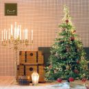 Albero di Natale illuminato con candele e pacchi regalo