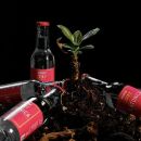 Bottiglie di acqua tonica Scuppoz disposte intorno a una pianta