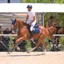 Amazzone con cavallo baio al galoppo durante una gara