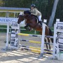 Amazzone con cavallo baio durante il salto di un ostacolo bianco