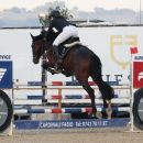 Amazzone con cavallo baio mentre supera un ostacolo bianco e blu