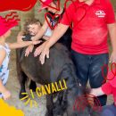Grafica del campus Team Horse dedicata alla relazione con i cavalli