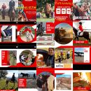 Feed Instagram Team Horse dedicato all'accademia e alla formazione equestre