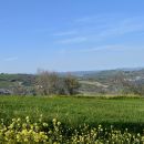 Paesaggio collinare che circonda il Maneggio Team Horse di Teramo