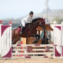 Amazzone con cavallo baio supera un ostacolo rosa e bianco in una gara di salto