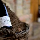 Damigiana bottiglia Montepulciano D'Abruzzo DOC Tenuta Trium Notaresco Teramo Abruzzo