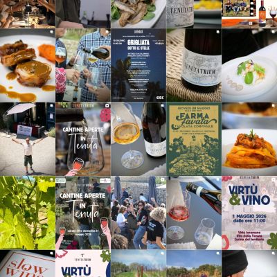 Feed Instagram Tenuta Trium pagina 1