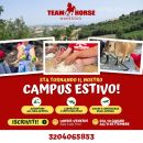 Grafica del campus estivo con attività e bambini del Maneggio Team Horse di Teramo
