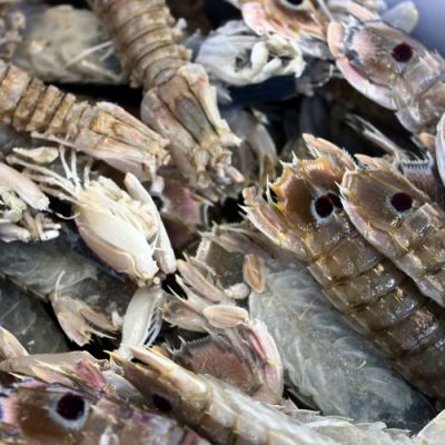 Pannocchie di mare surgelate esposte nel banco del pesce