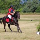 Amazzone con cavallo nero al galoppo nel campo di gara