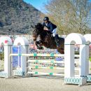 Amazzone e cavallo baio ripresi in primo piano durante un salto